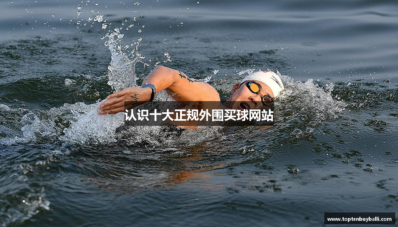 认识十大正规外围买球网站